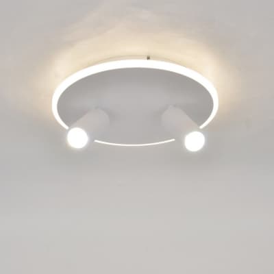 Настенно-потолочный светильник Escada 20046LED 20046SMA/02LED WH