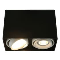 Потолочный светильник Artelamp Pictor A5655PL-2BK