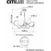 Потолочная люстра Citilux Нарда CL204180